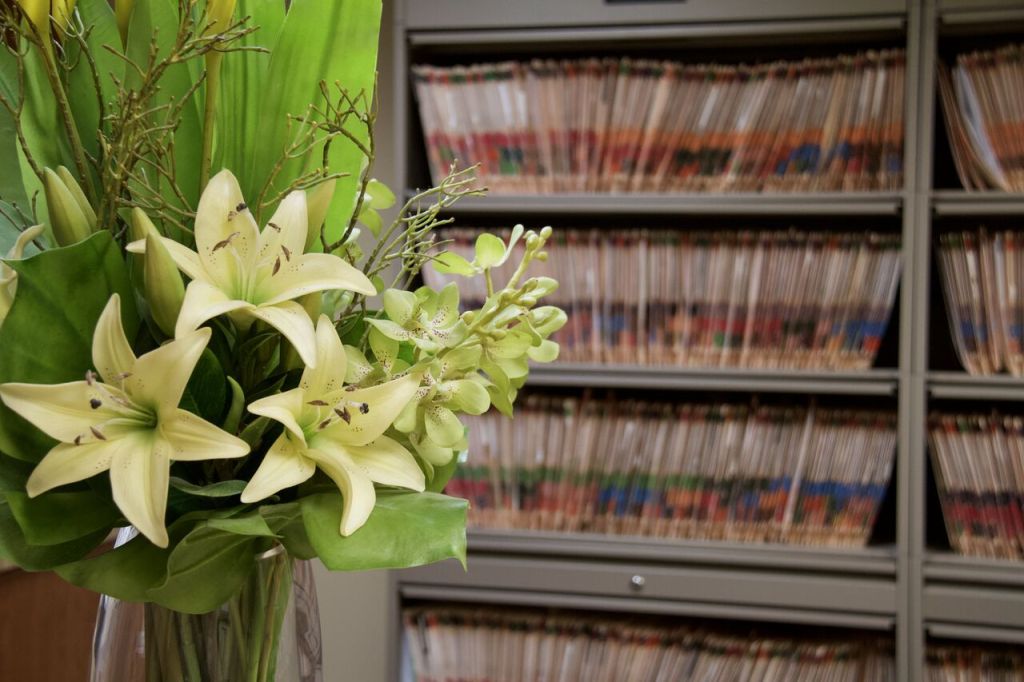 Jeffrey W. Chandler, DDS, MD - Oral & Maxillofacial Surgery office
